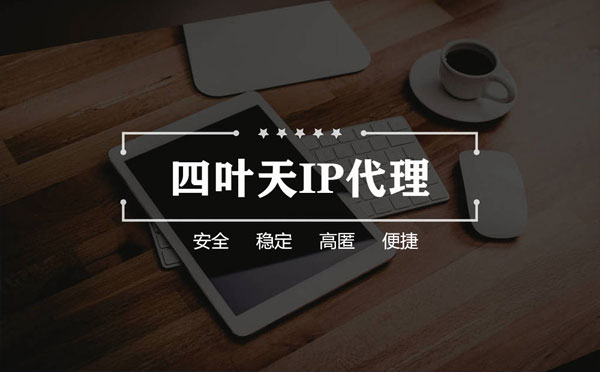 【邹城代理IP】如何快速搭建代理IP？怎么检查代理的效果？